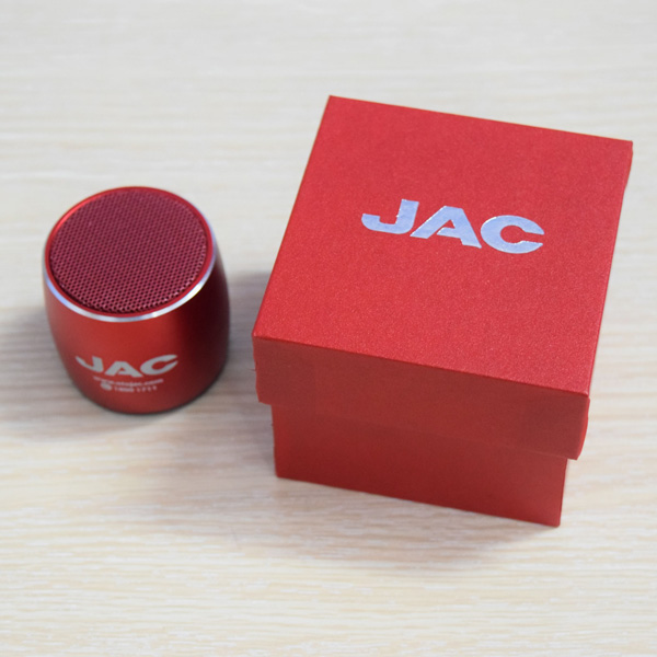 loa bluetooth in logo